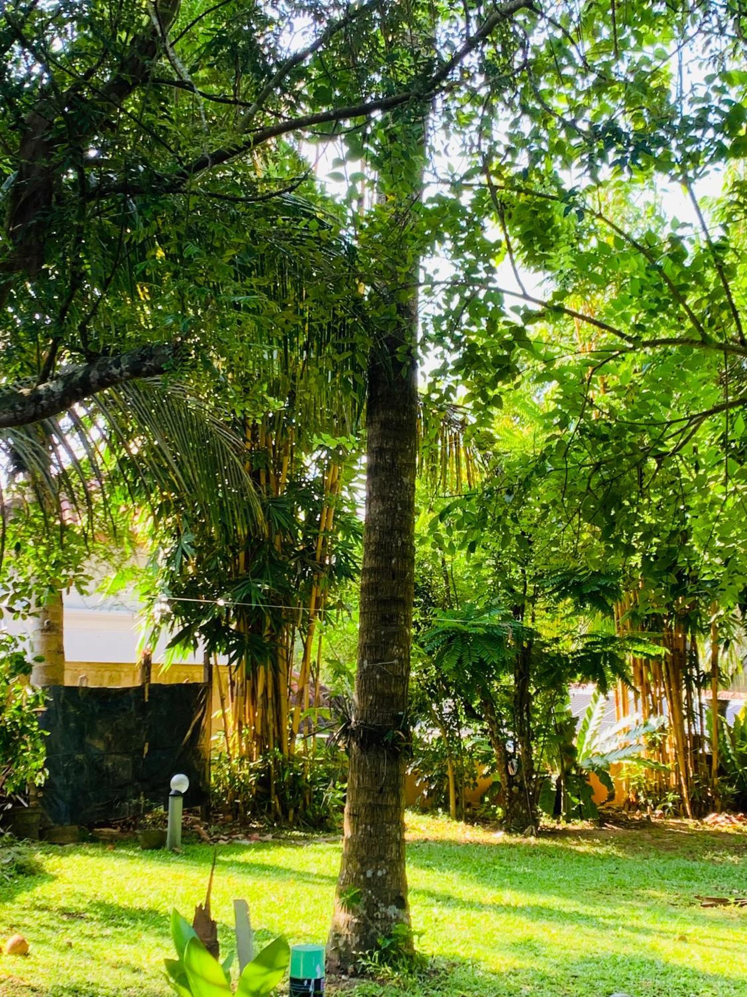 Cinnamon House Hiriketiya Dikwella Ngoại thất bức ảnh