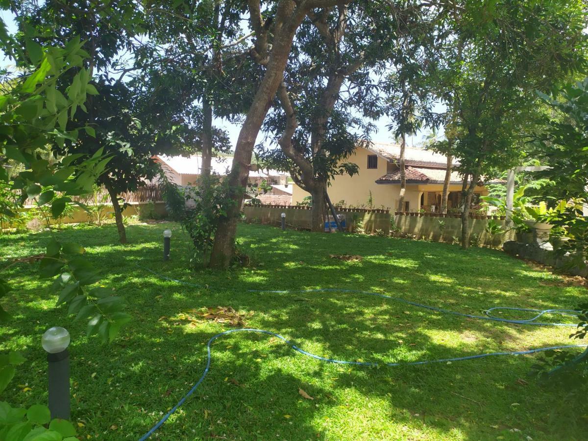 Cinnamon House Hiriketiya Dikwella Ngoại thất bức ảnh