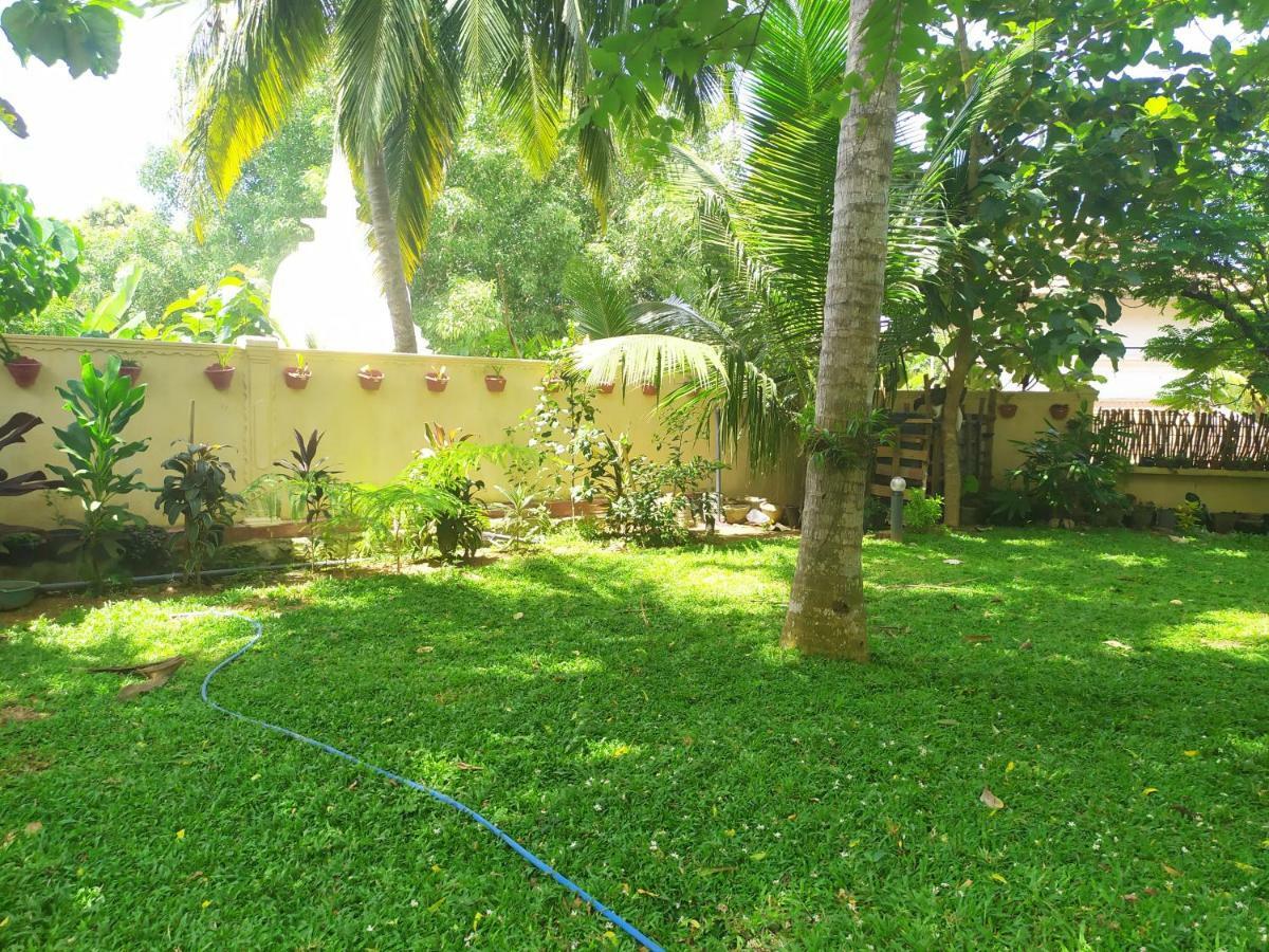 Cinnamon House Hiriketiya Dikwella Ngoại thất bức ảnh