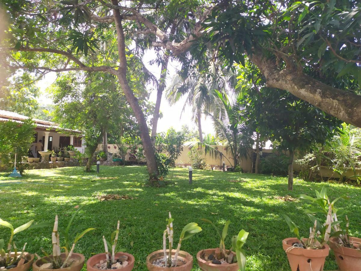 Cinnamon House Hiriketiya Dikwella Ngoại thất bức ảnh