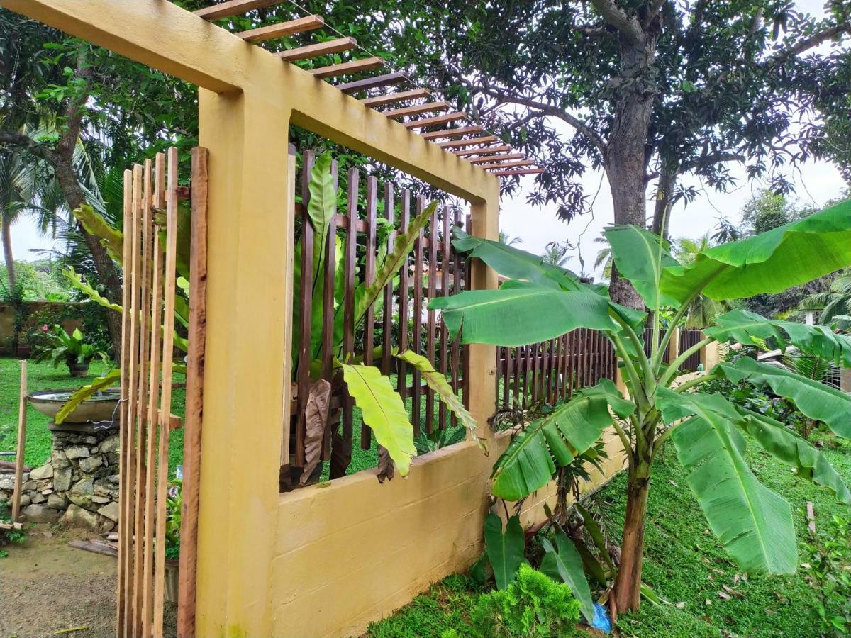 Cinnamon House Hiriketiya Dikwella Ngoại thất bức ảnh