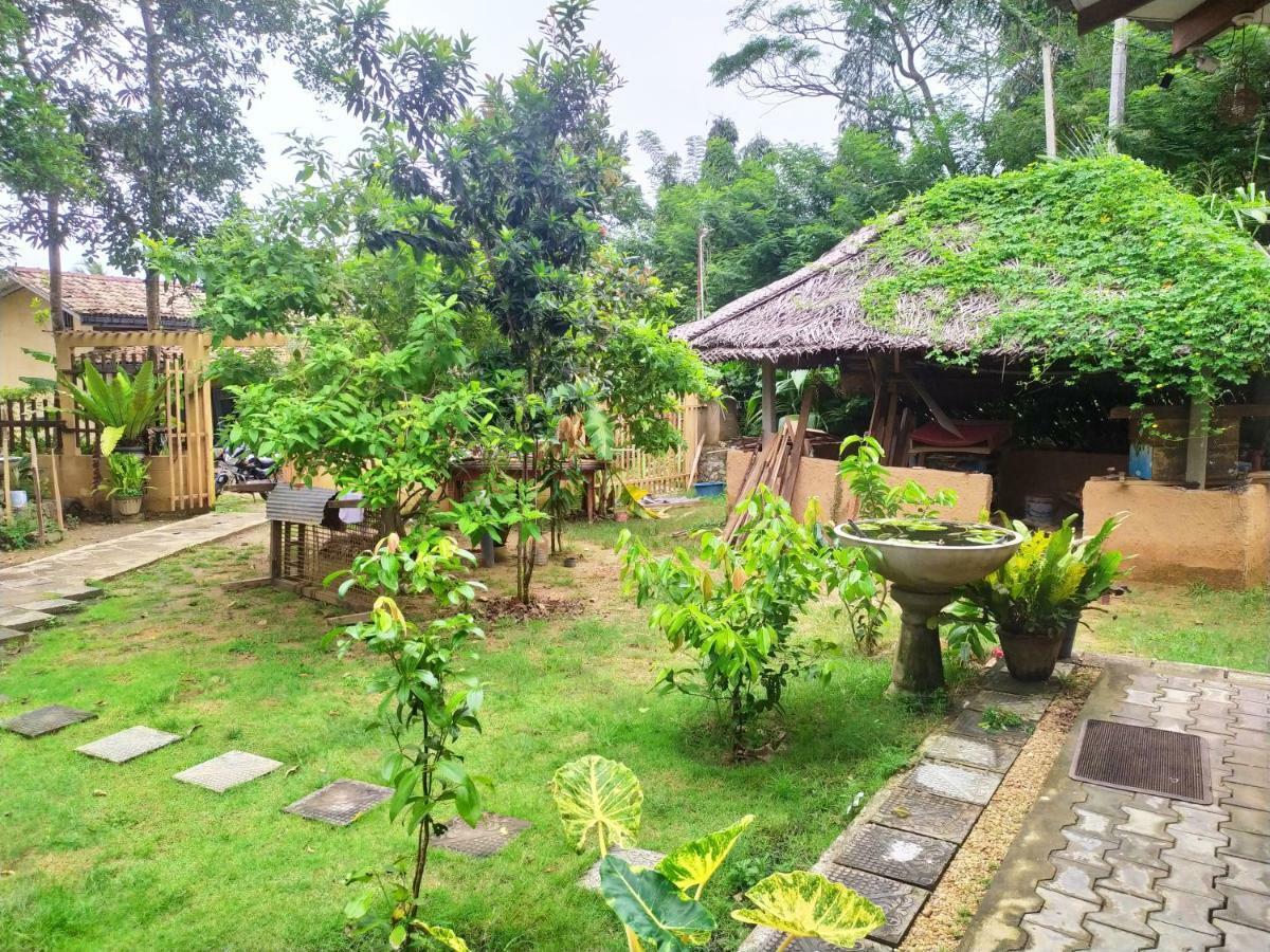 Cinnamon House Hiriketiya Dikwella Ngoại thất bức ảnh